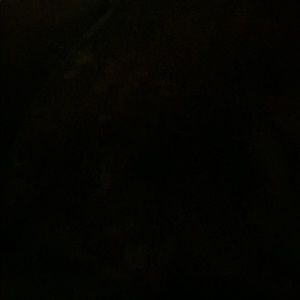 Meet your Posher, Kimber